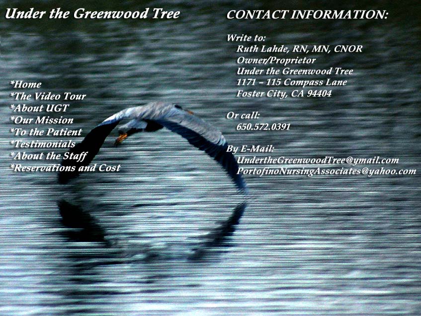 Contact information for Ruth Lahde. Street address, e-mail address and phone number.